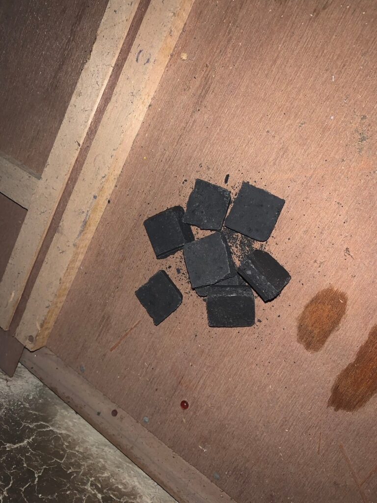 京丹波町のアライグマ対策工事｜Ｉ様邸 9