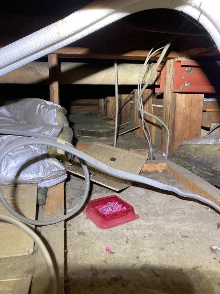 目黒区のネズミ対策工事｜T様邸 5