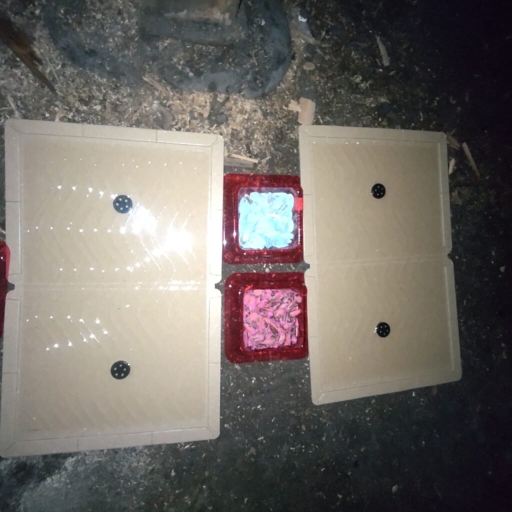 立川市のネズミ・アライグマ対策工事｜T様邸 5