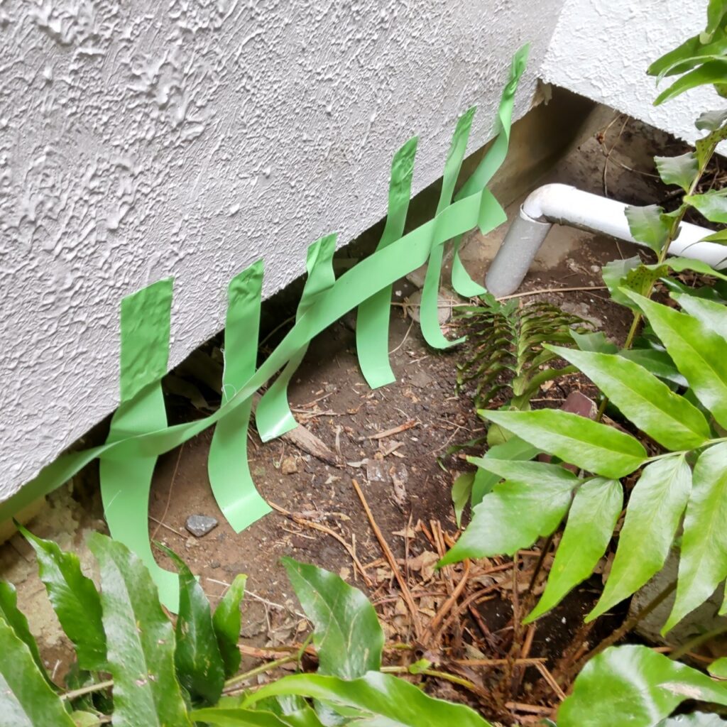 柏市のハクビシン対策工事｜K様邸 5