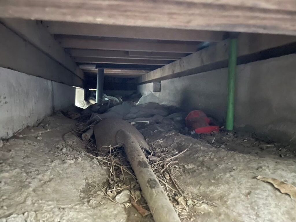 柏市のハクビシン対策工事｜K様邸 1