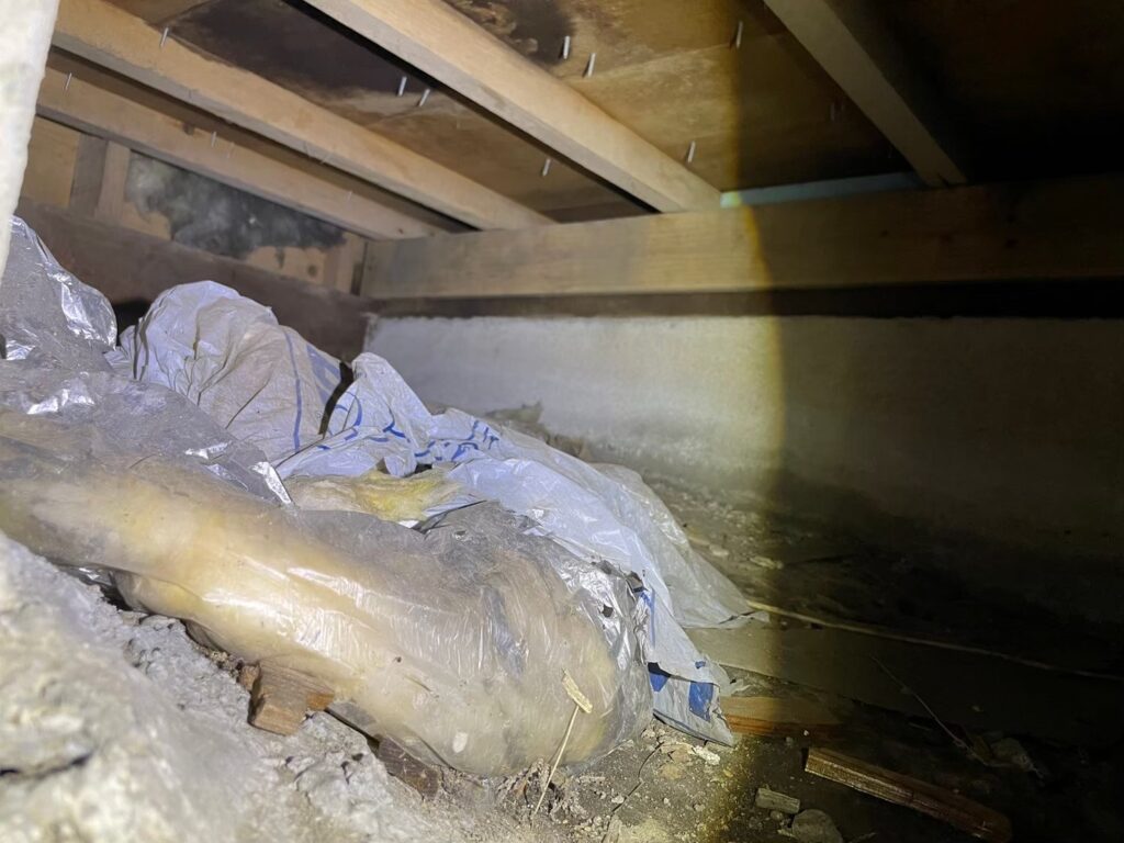 柏市のハクビシン対策工事｜K様邸 2