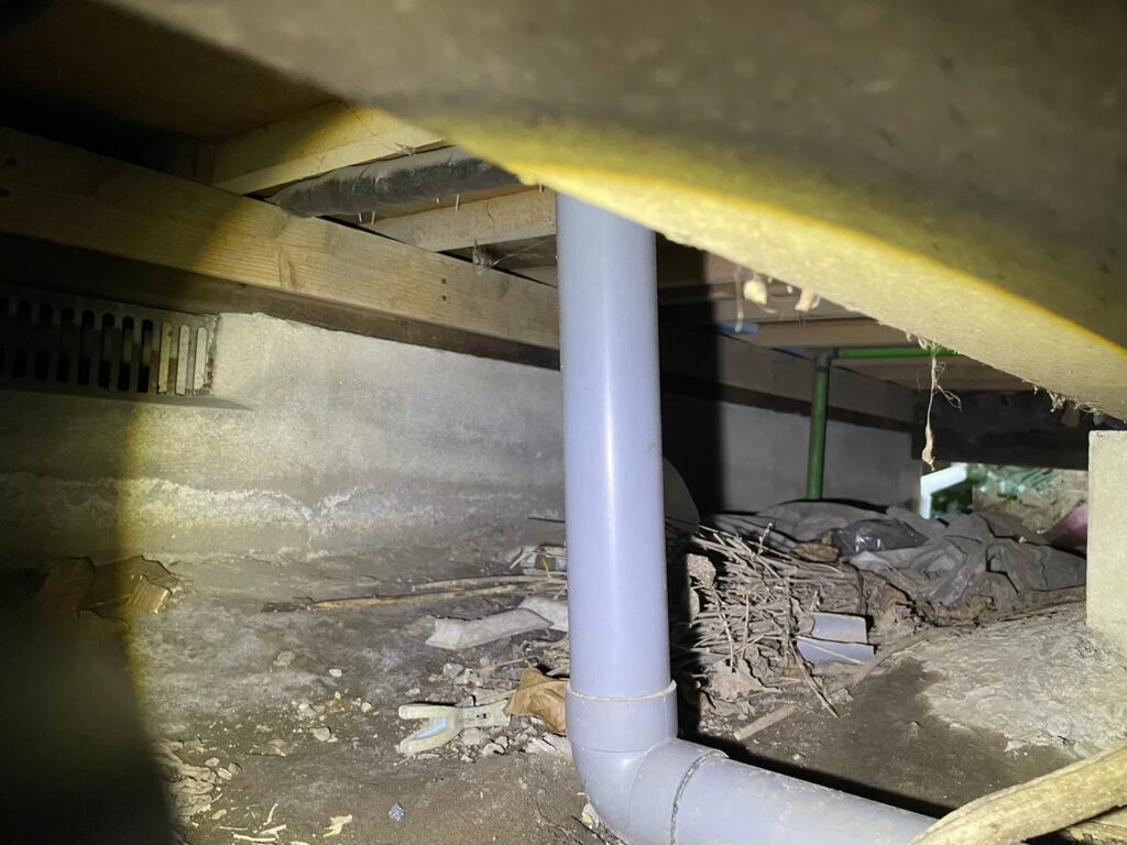 柏市のハクビシン対策工事｜K様邸 3