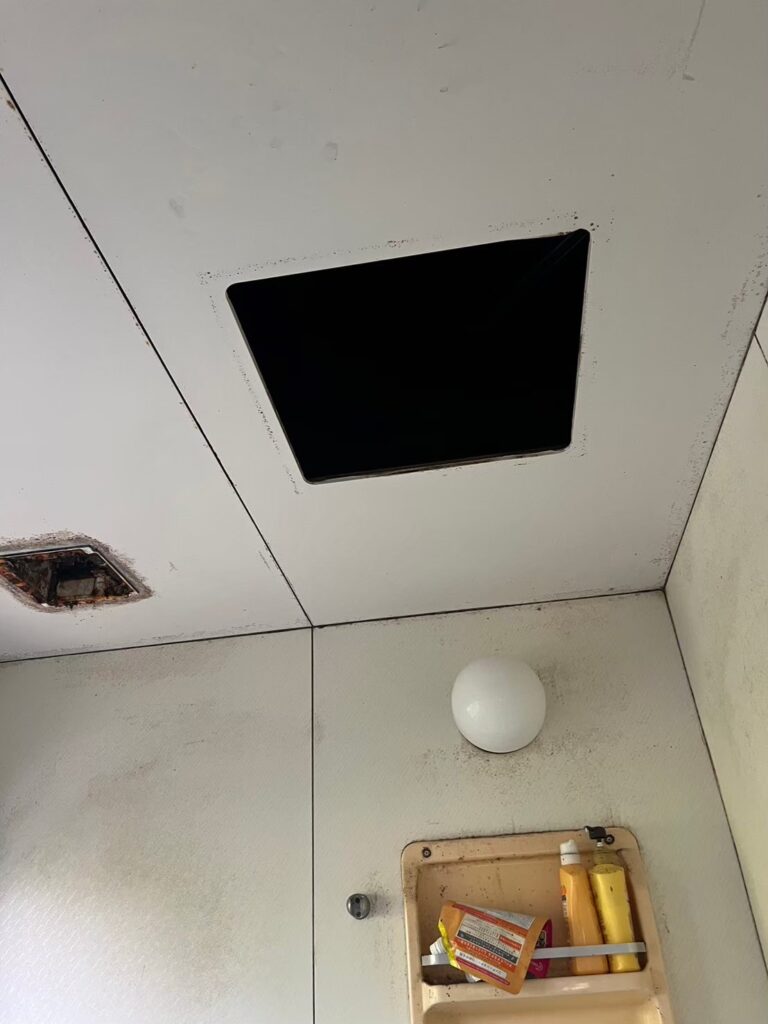 山武市のハクビシン・アライグマ対策工事｜I様邸 13