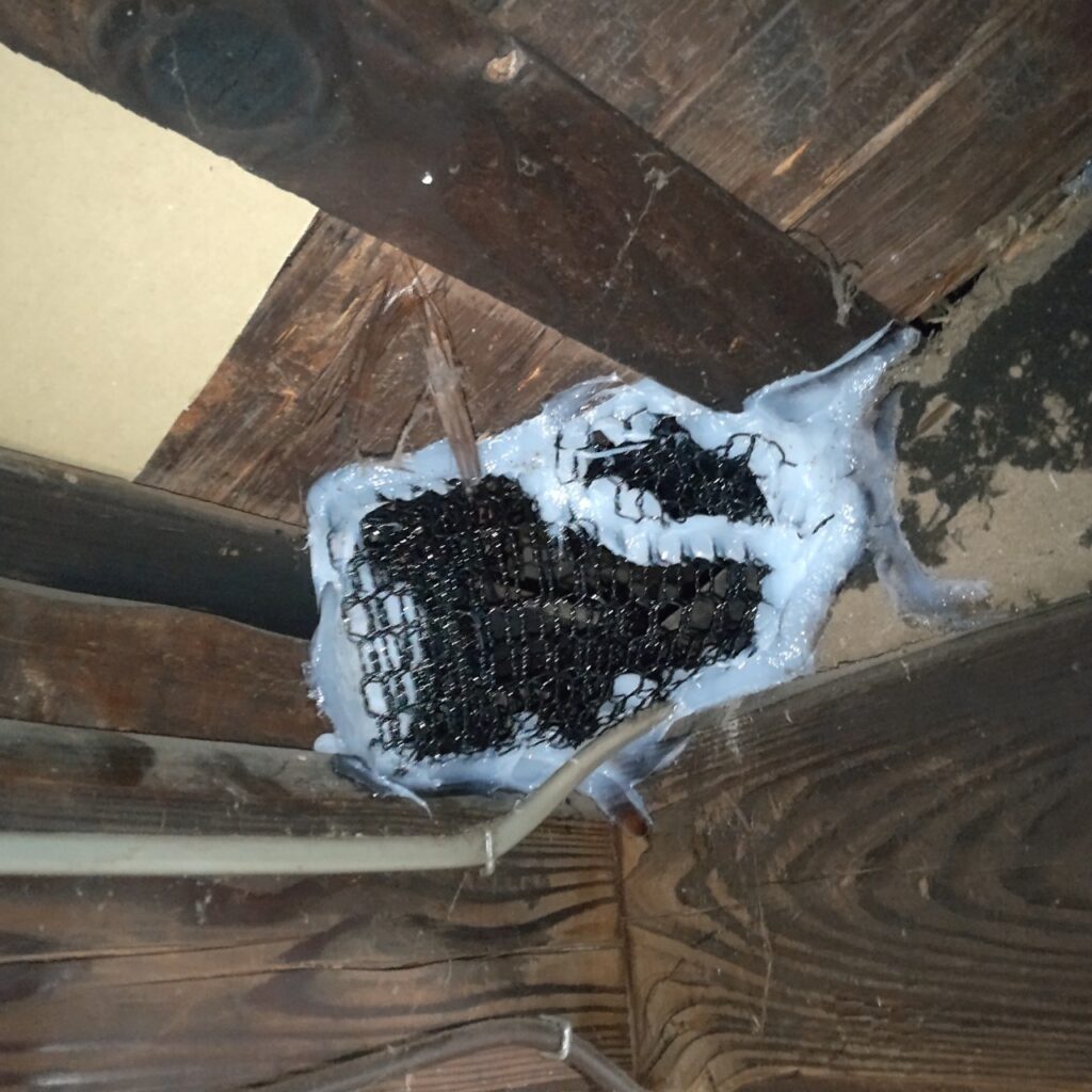 山武市のハクビシン・アライグマ対策工事｜I様邸 11