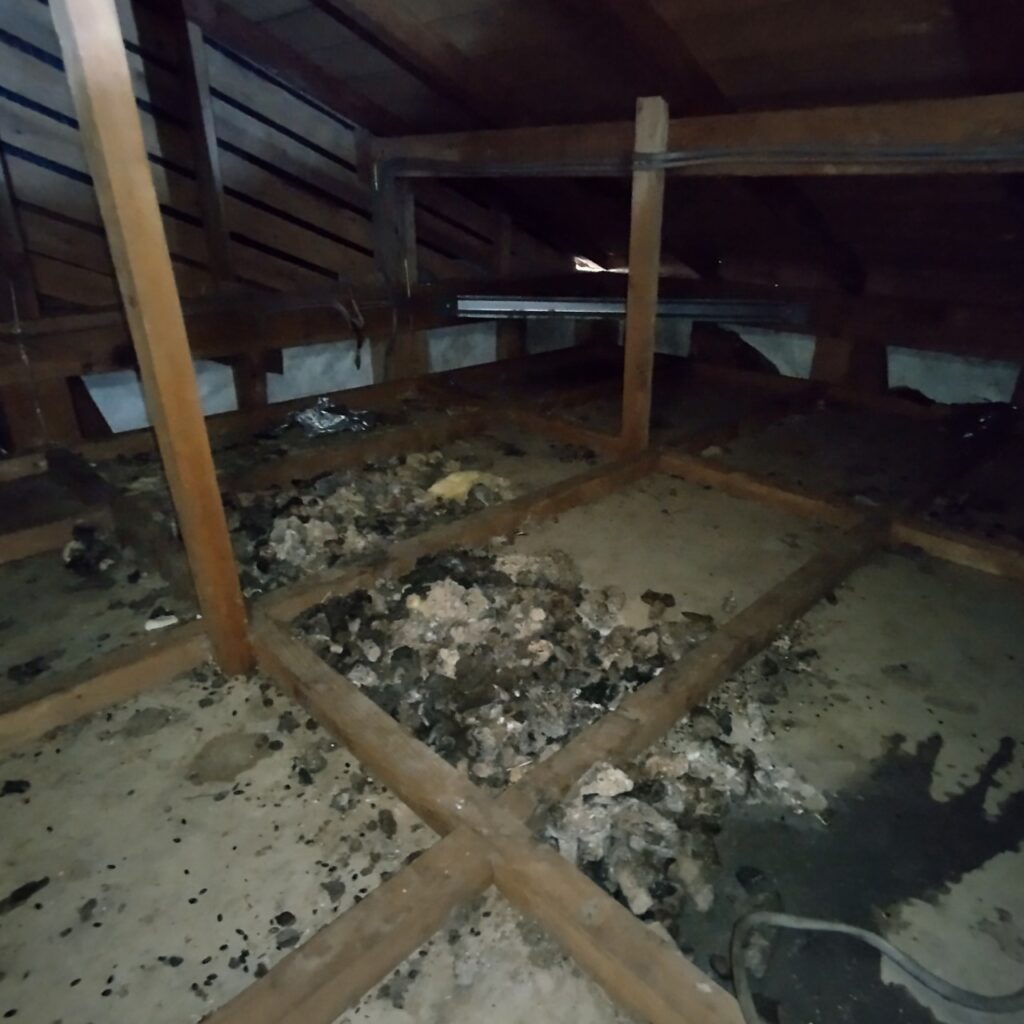 山武市のハクビシン・アライグマ対策工事｜I様邸 9