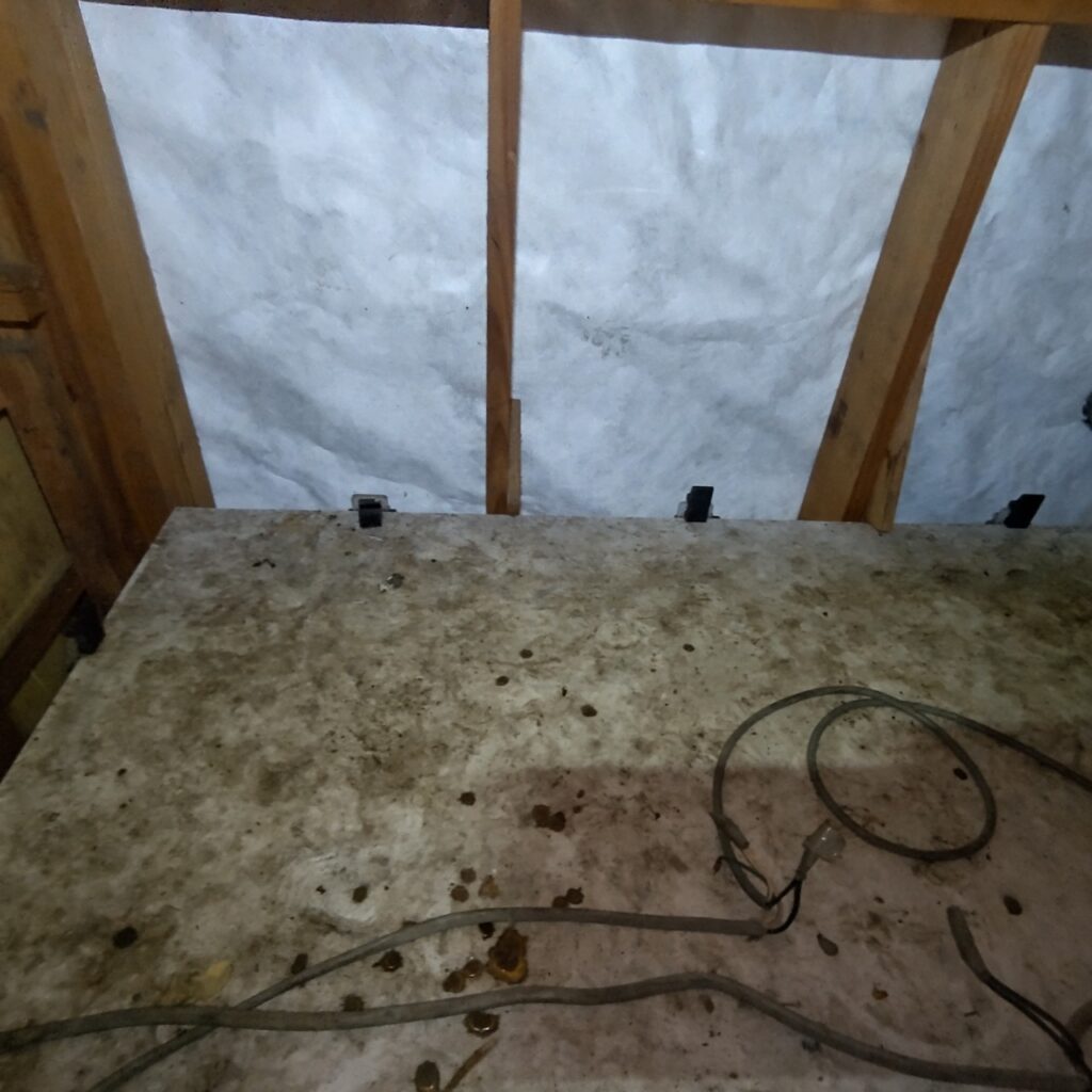 山武市のハクビシン・アライグマ対策工事｜I様邸 8