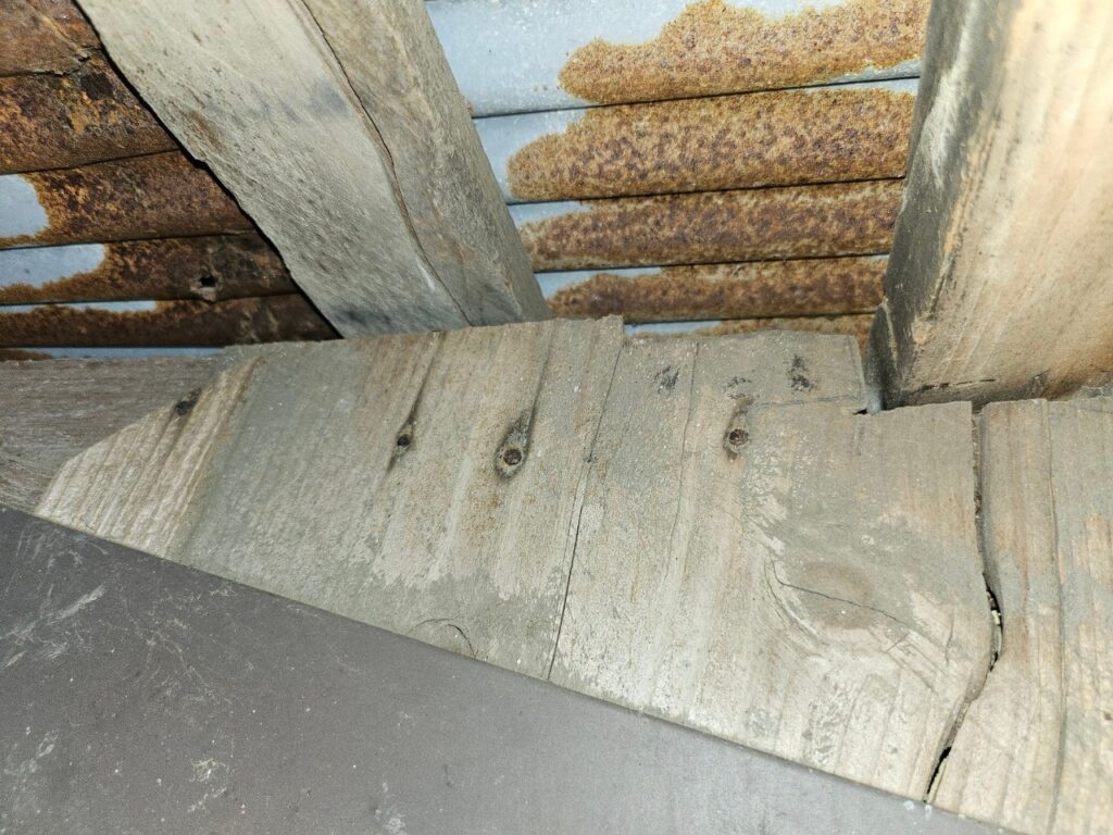 山武市のハクビシン・アライグマ対策工事｜I様邸 6