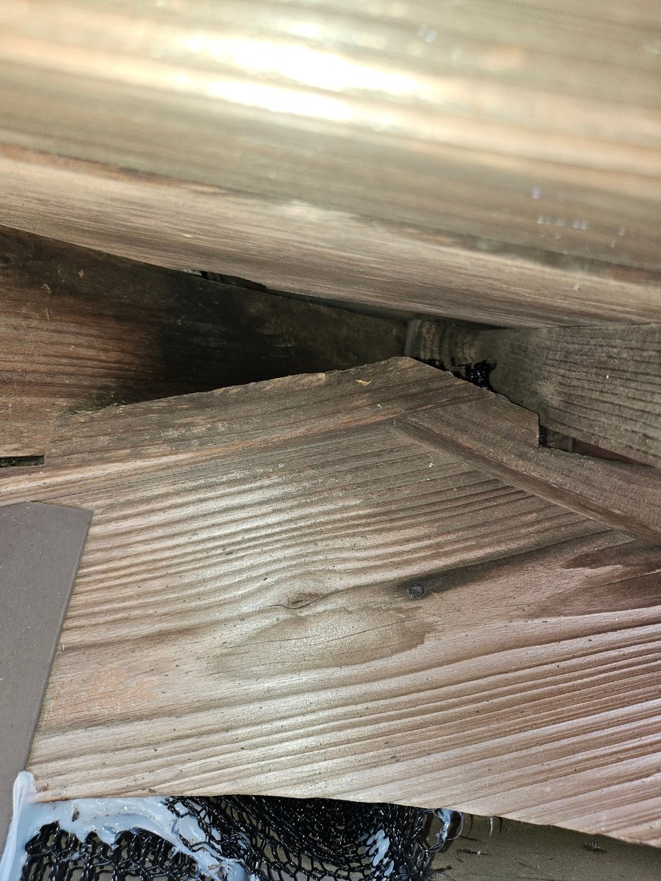 山武市のハクビシン・アライグマ対策工事｜I様邸 ビフォー