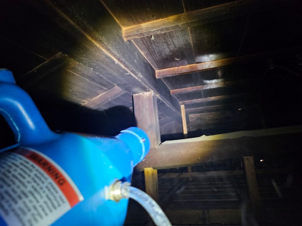 山武市のハクビシン・アライグマ対策工事｜I様邸 1