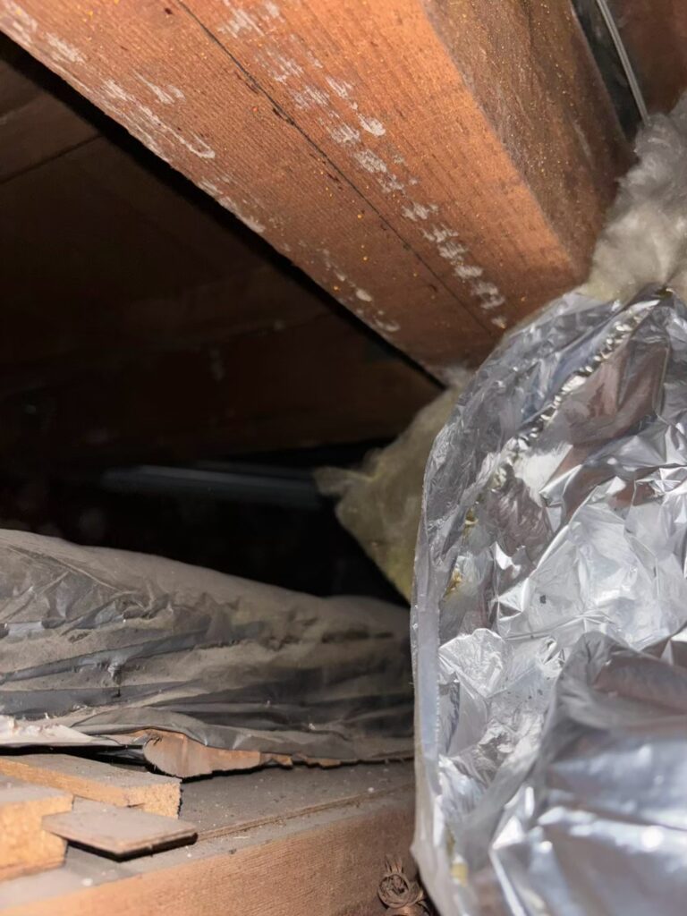 北葛飾郡のアライグマ対策工事｜Ｓ様邸 4