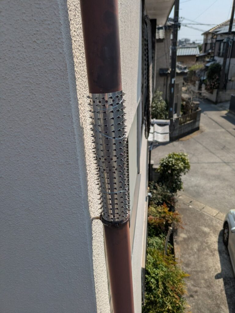 北葛飾郡のアライグマ対策工事｜Ｓ様邸 5