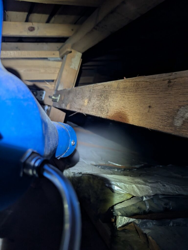 北葛飾郡のアライグマ対策工事｜Ｓ様邸 2