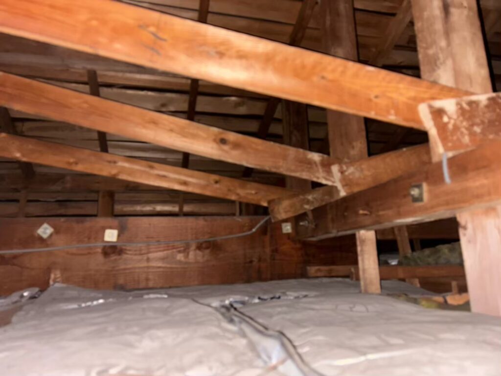 北葛飾郡のアライグマ対策工事｜Ｓ様邸 3