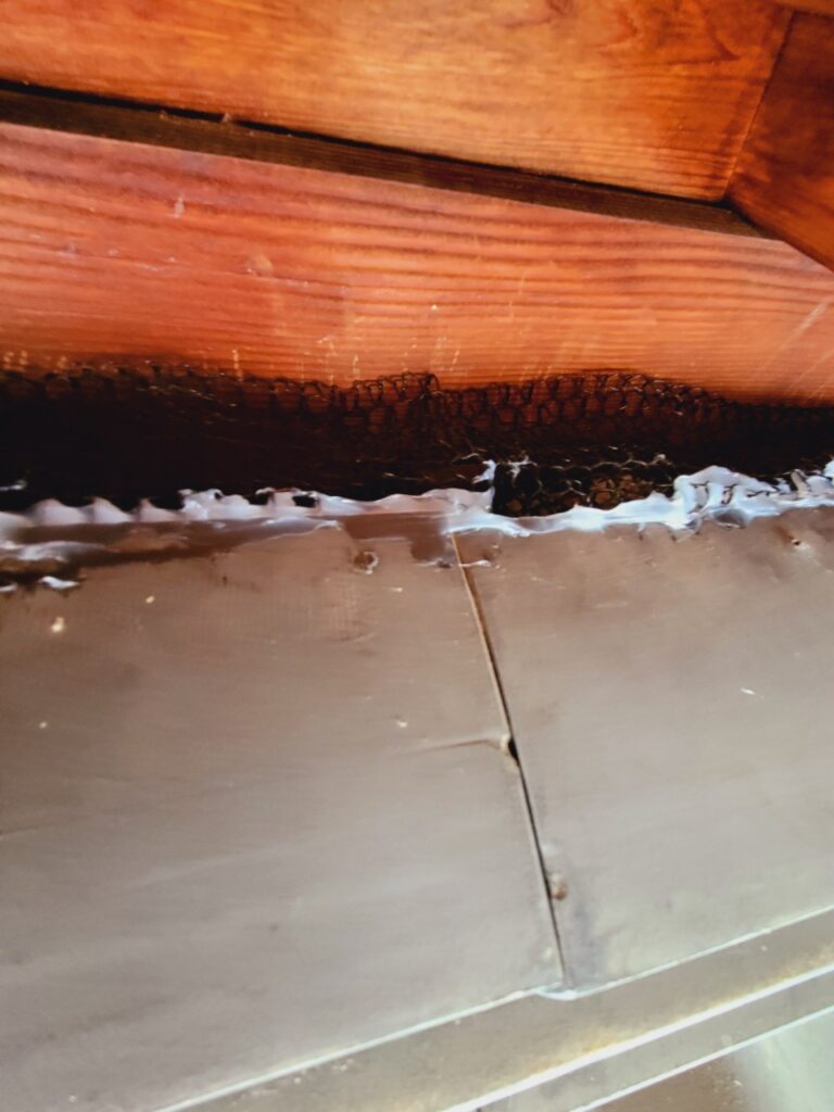 葛城市のイタチ対策工事｜Ｈ様邸 4