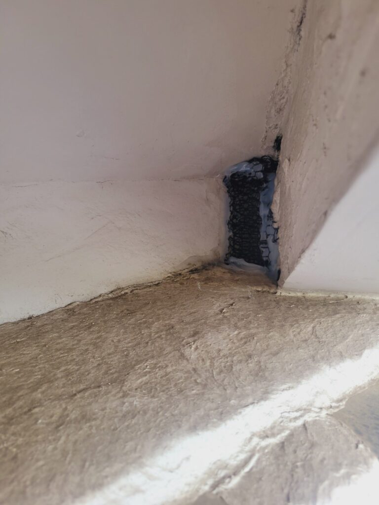 葛城市のイタチ対策工事｜Ｈ様邸 5