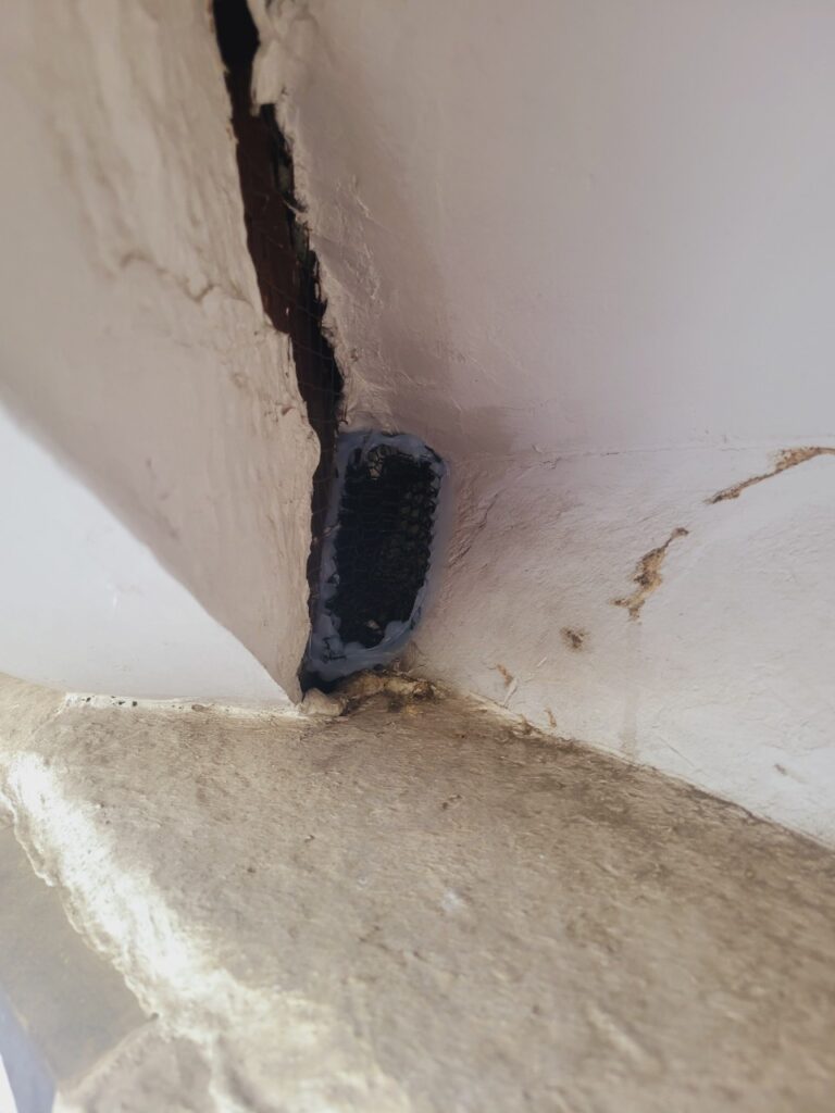 葛城市のイタチ対策工事｜Ｈ様邸 6