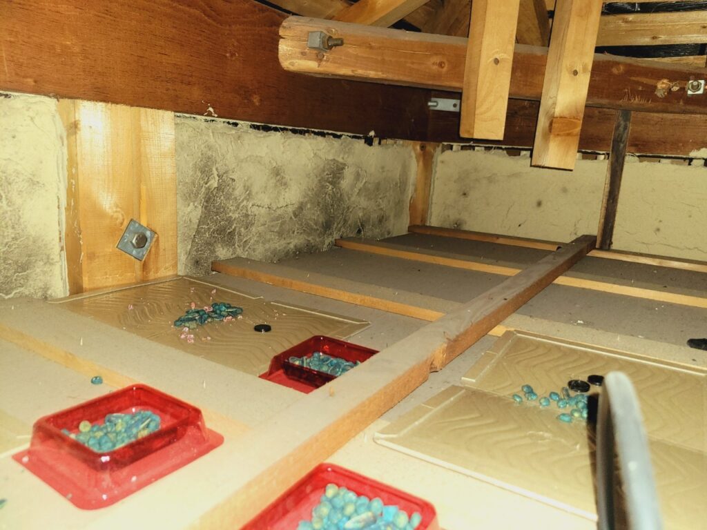 葛城市のイタチ対策工事｜Ｈ様邸 7