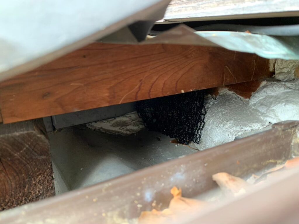 葛城市のイタチ対策工事｜Ｈ様邸 10