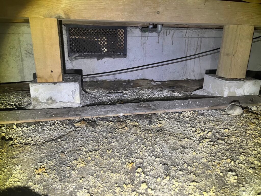 和泉市のイタチ対策工事｜Ｎ様邸 8