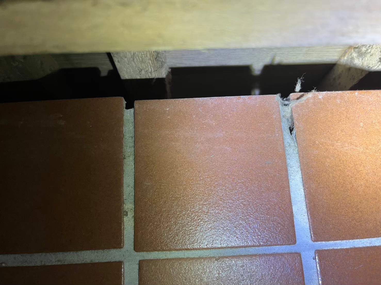 和泉市のイタチ対策工事｜Ｎ様邸 ビフォー