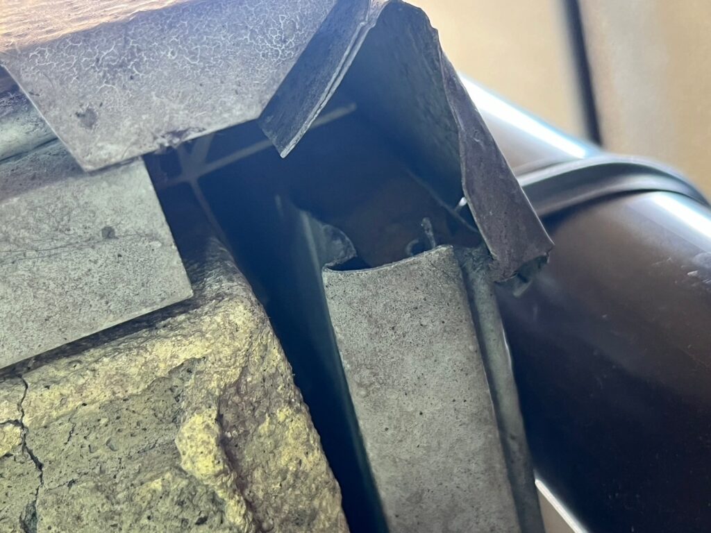 和泉市のイタチ対策工事｜Ｎ様邸 9