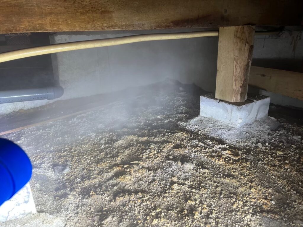 和泉市のイタチ対策工事｜Ｎ様邸 2