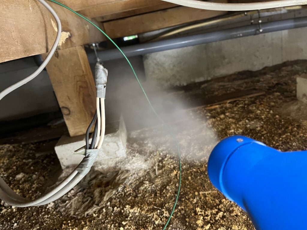 和泉市のイタチ対策工事｜Ｎ様邸 1