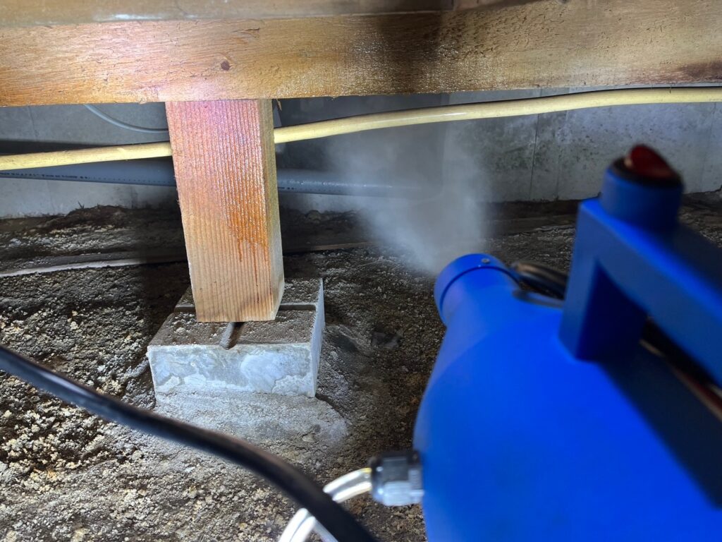 和泉市のイタチ対策工事｜Ｎ様邸 3