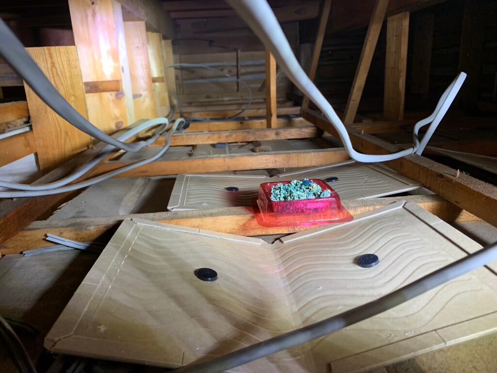 東大阪市のイタチ対策工事｜Ｋ様邸 5