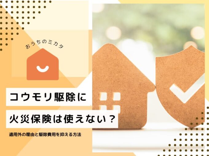 コウモリ駆除に火災保険は使えない？適用外の理由と駆除費用を抑える現実的な方法