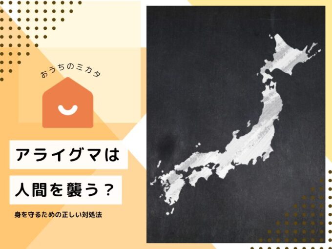 アライグマが日本にいてはいけない理由とは?特定外来生物に指定された背景と被害の実態
