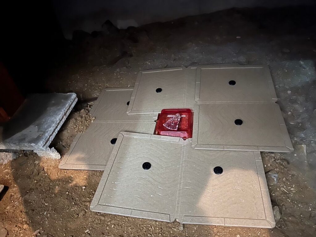 東大阪市のイタチ対策工事｜Ｋ様邸 1