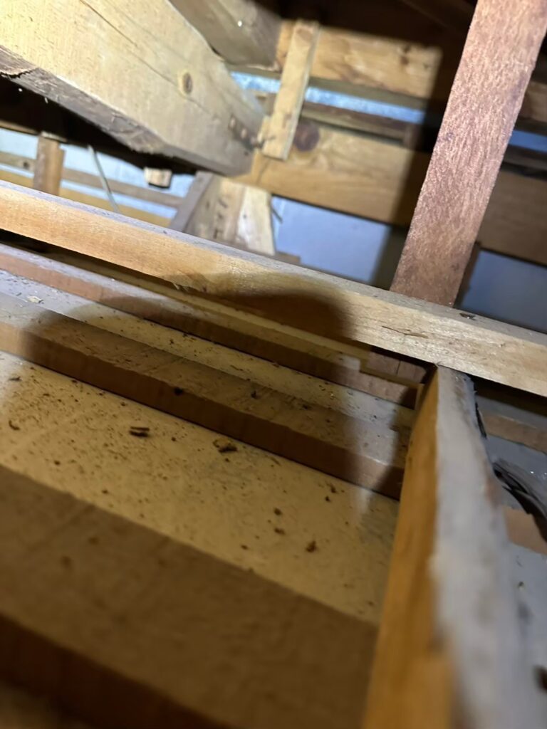 長崎市のイタチ対策工事｜Ｍ様邸 3