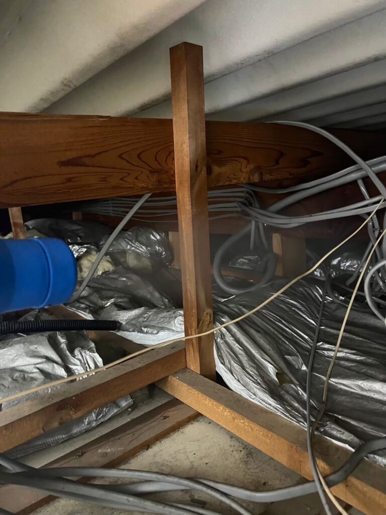 南河内郡のイタチ対策工事｜Ｍ様邸 12