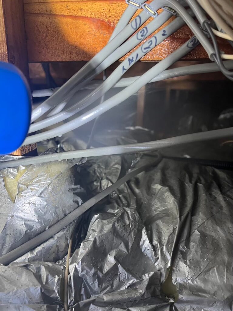 南河内郡のイタチ対策工事｜Ｍ様邸 13