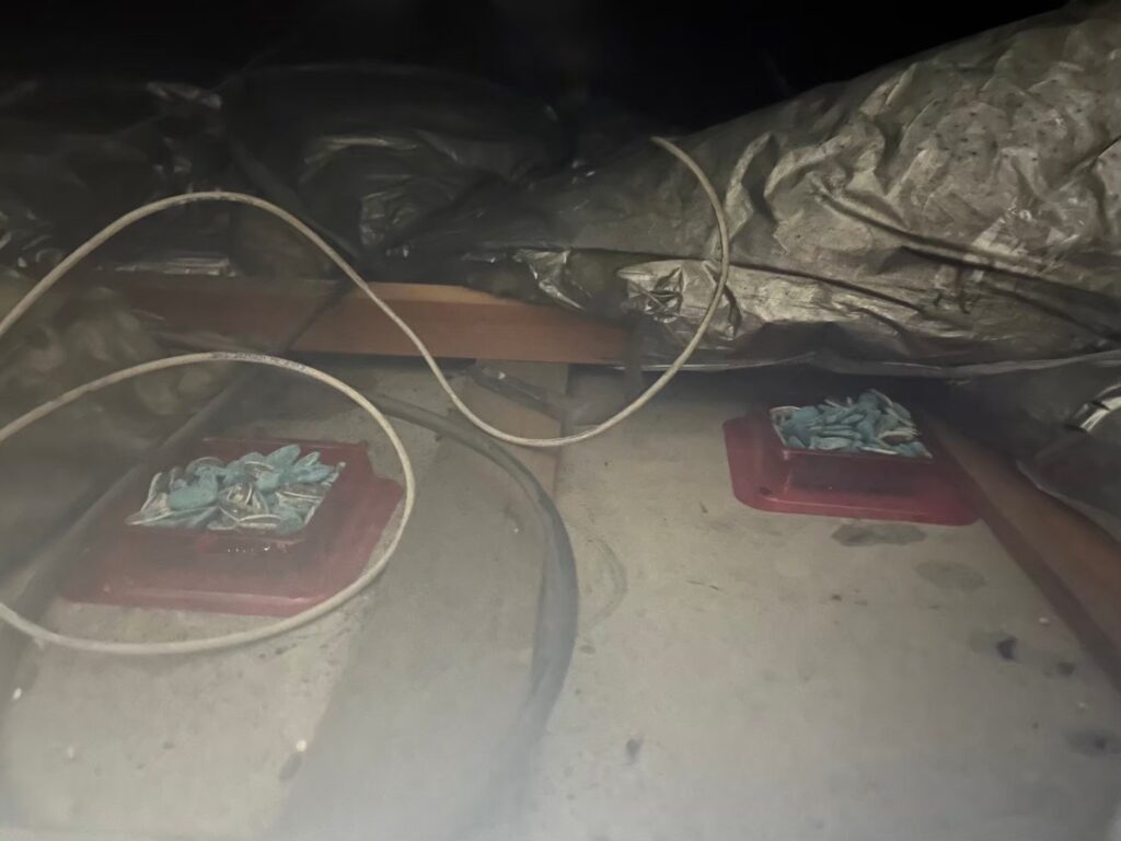 南河内郡のイタチ対策工事｜Ｍ様邸 14