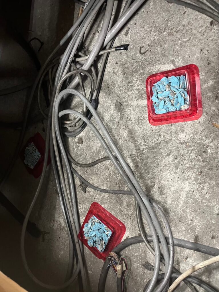 南河内郡のイタチ対策工事｜Ｍ様邸 15