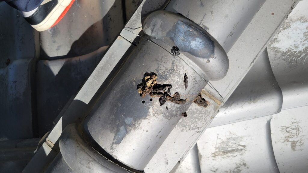 京都市のイタチ対策工事｜Ｔ様邸 1