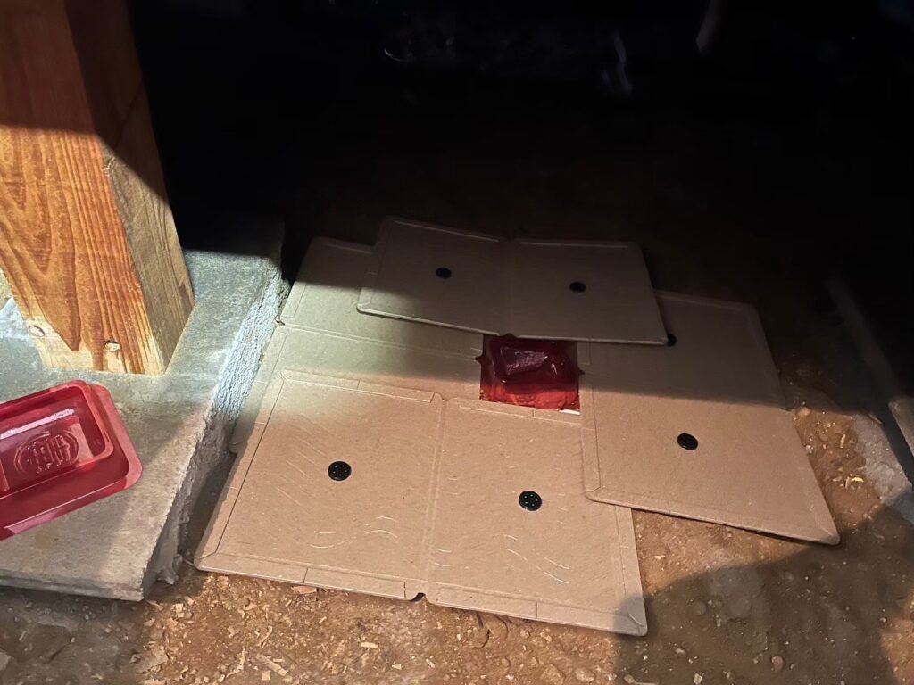 東大阪市のイタチ対策工事｜Ｋ様邸 2