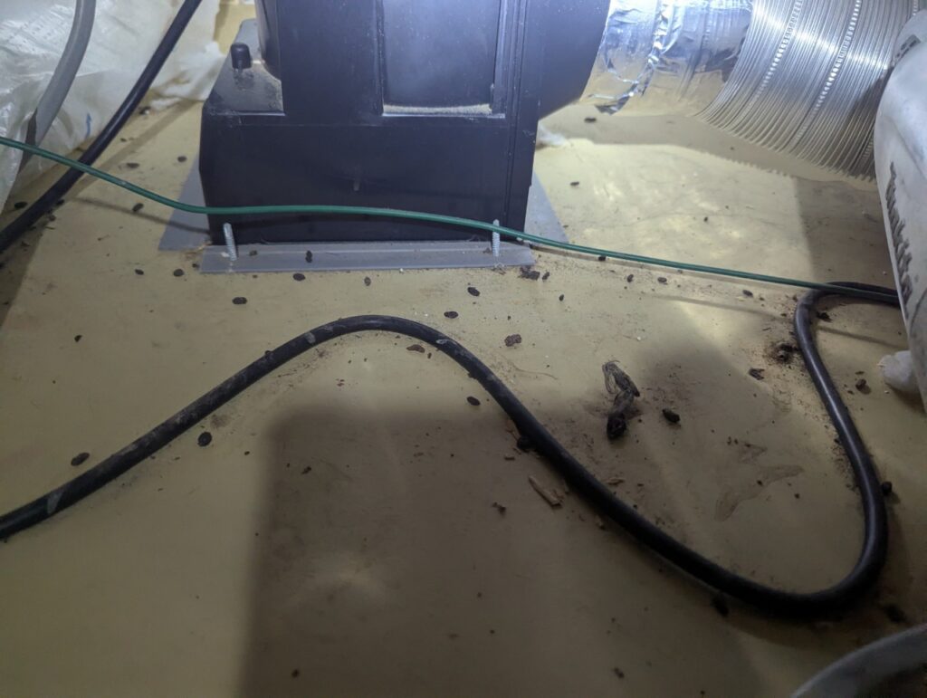 八千代市のイタチ対策工事｜Ｙ様邸 3