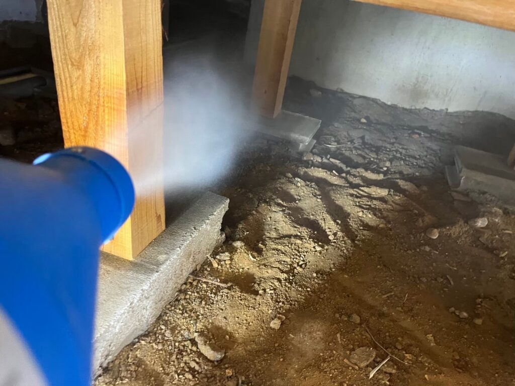 東大阪市のイタチ対策工事｜Ｋ様邸 4