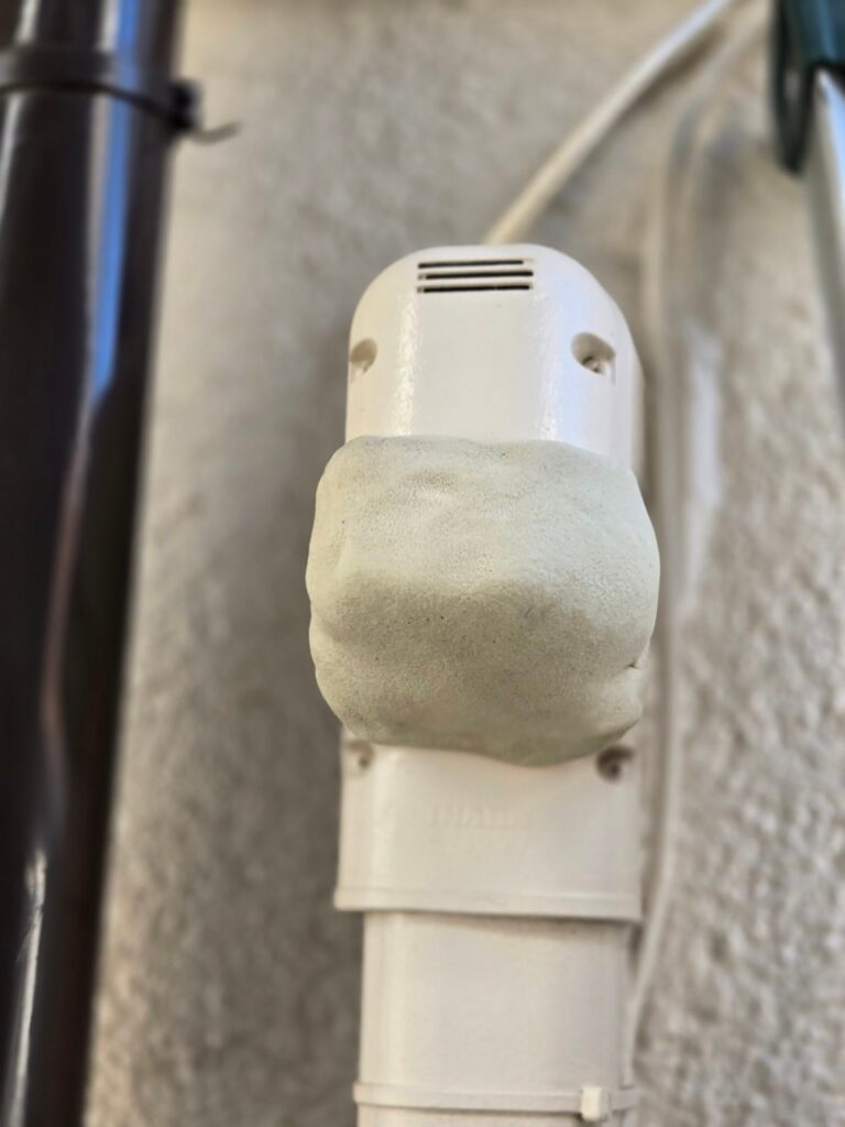 茨木市のコウモリ対策工事｜Ｉ様邸 5