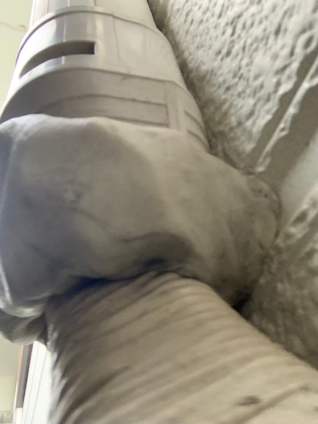 南河内郡のイタチ対策工事｜Ｍ様邸 アフター