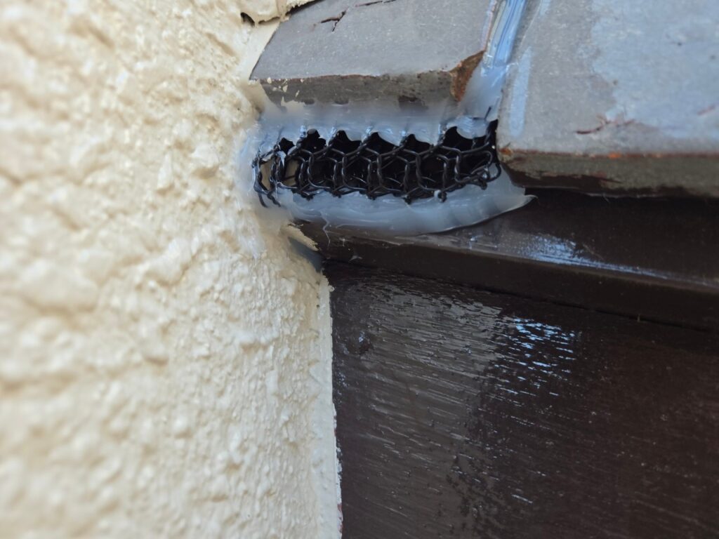 茨木市のコウモリ対策工事｜Ｉ様邸 8