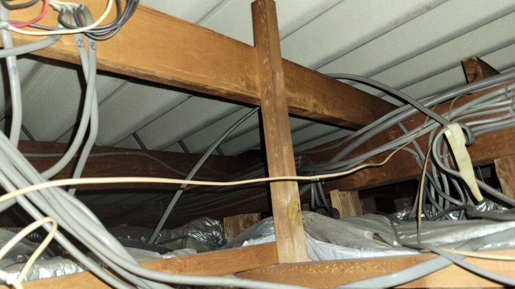 南河内郡のイタチ対策工事｜Ｍ様邸 2