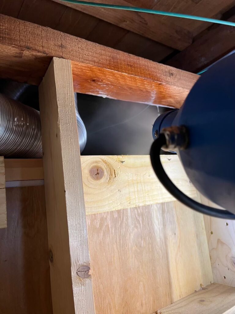 京都市のイタチ対策工事｜Ｔ様邸 5