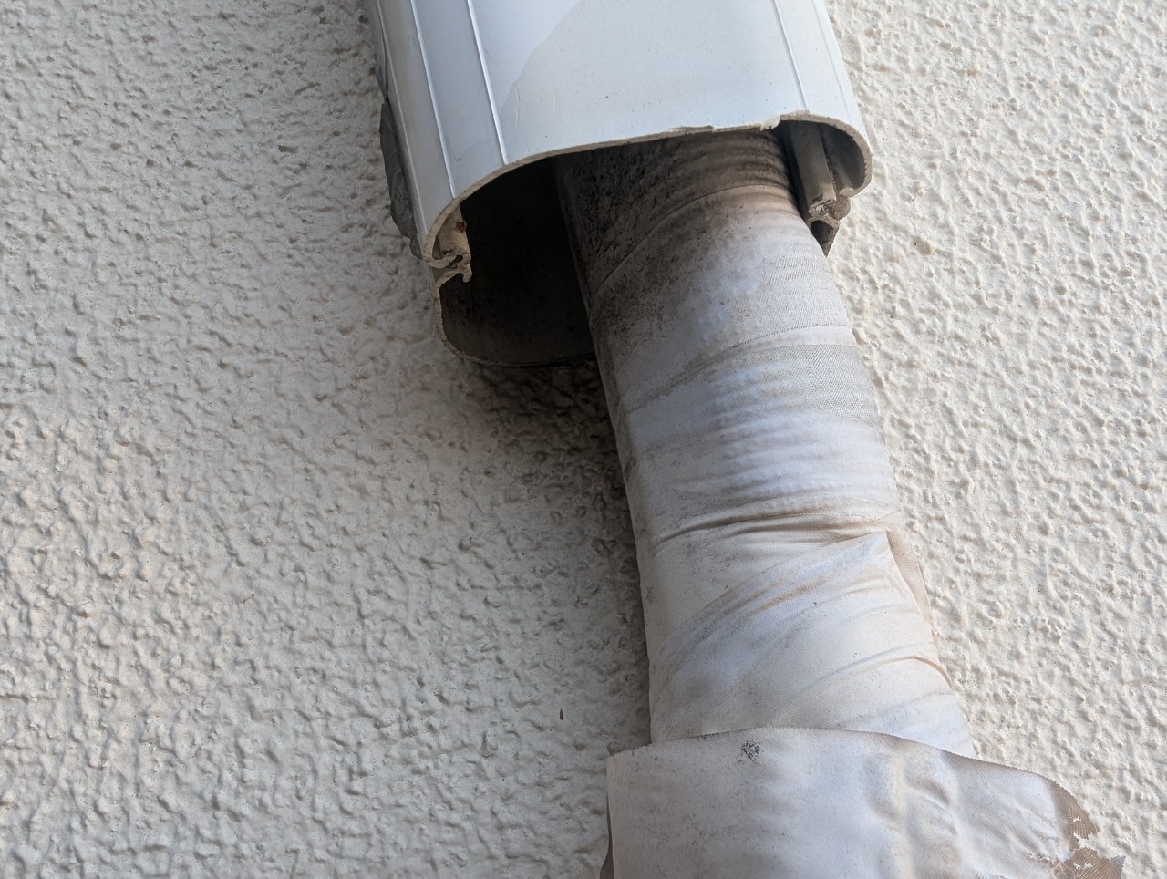 柳川市のネズミ・イタチ対策工事｜Ａ様邸 ビフォー