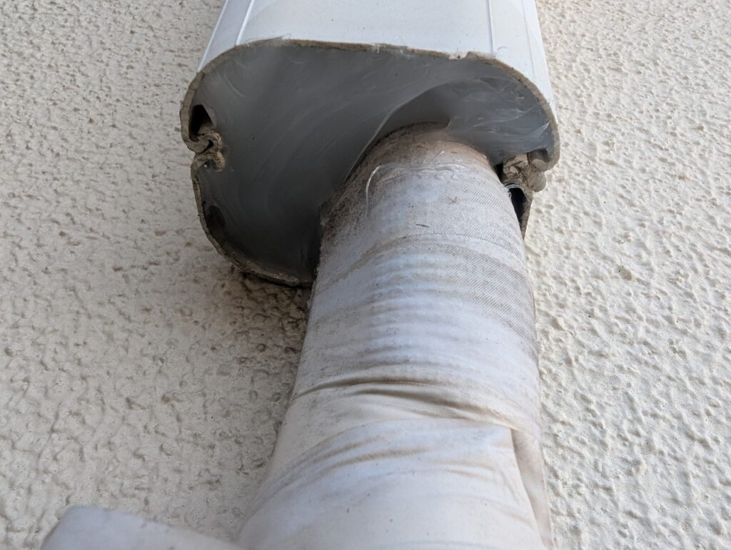 柳川市のネズミ・イタチ対策工事｜Ａ様邸 9