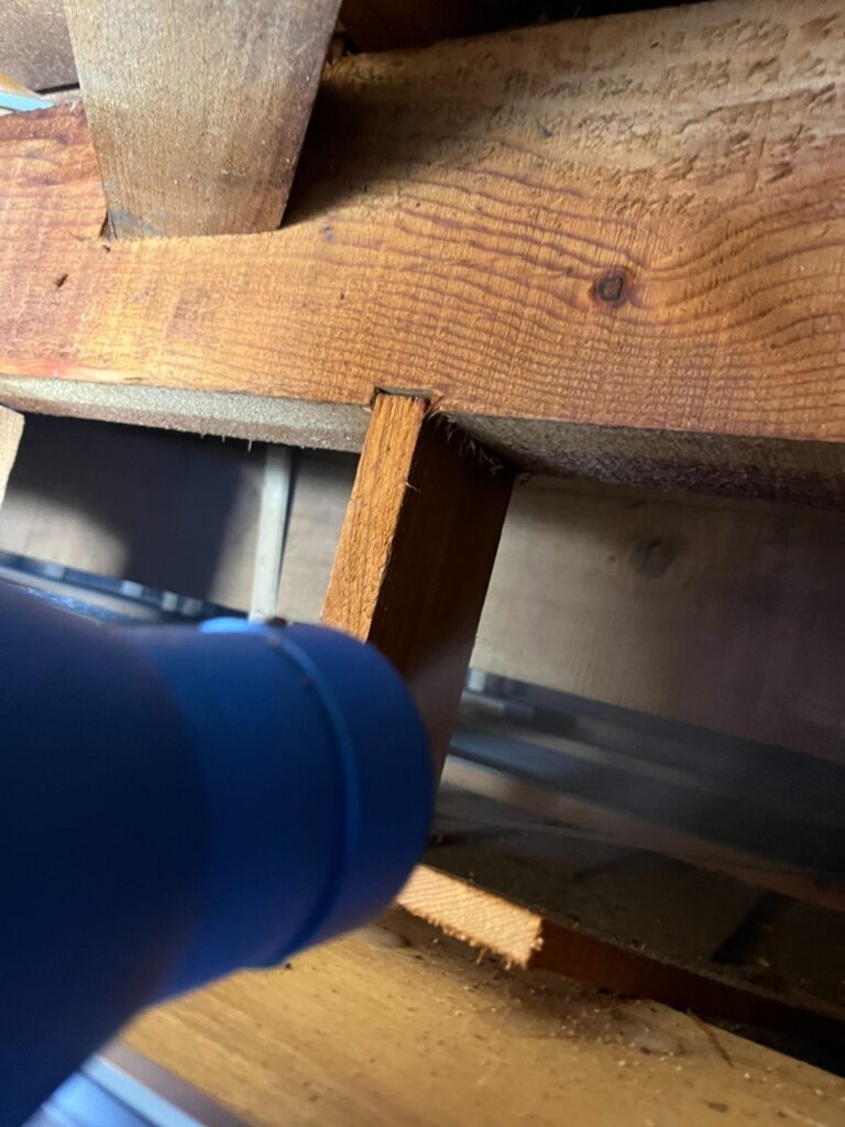 茨木市のコウモリ対策工事｜Ｉ様邸 11